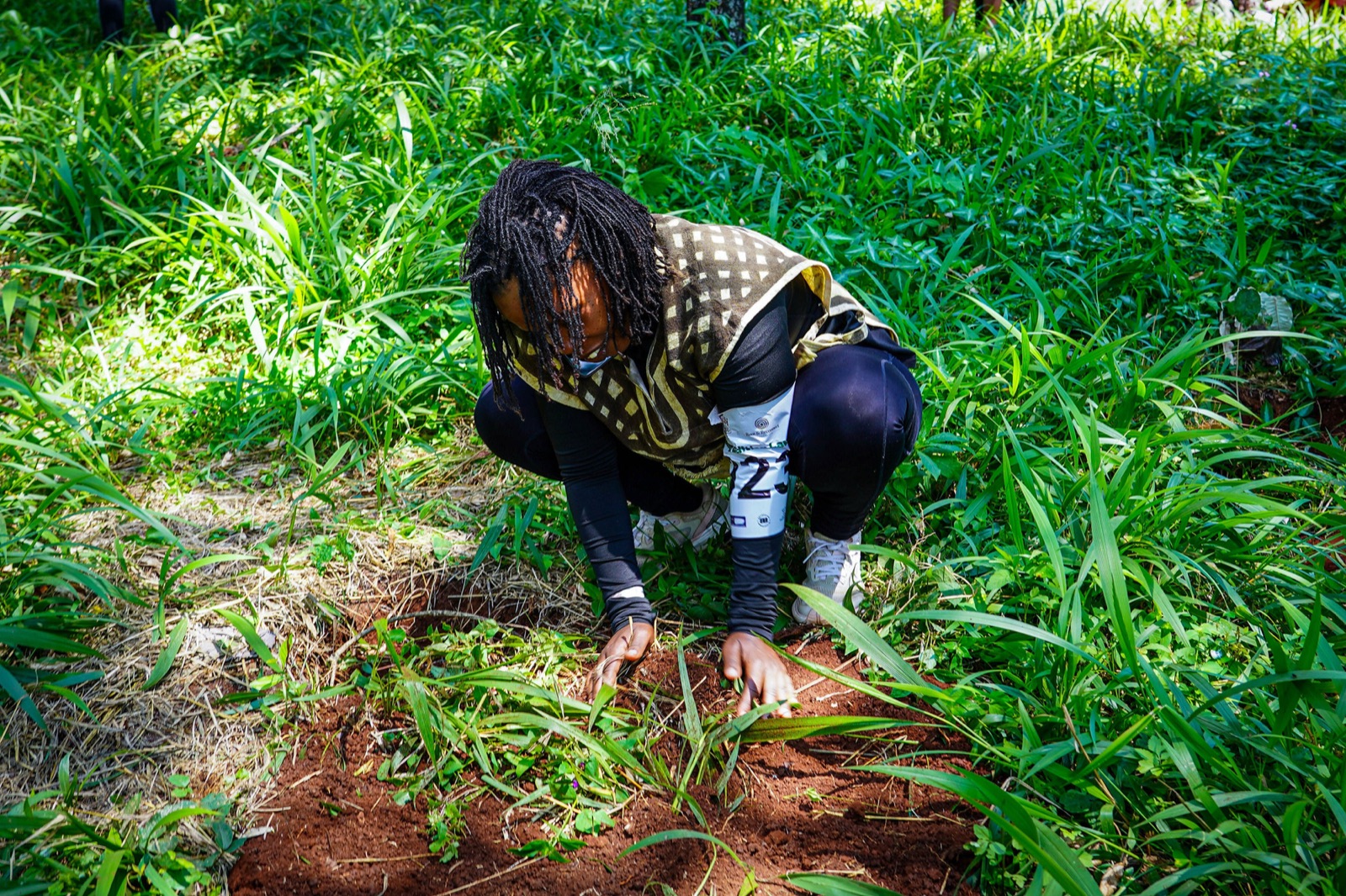 A volunteer plants a seedling by hand in the soil.